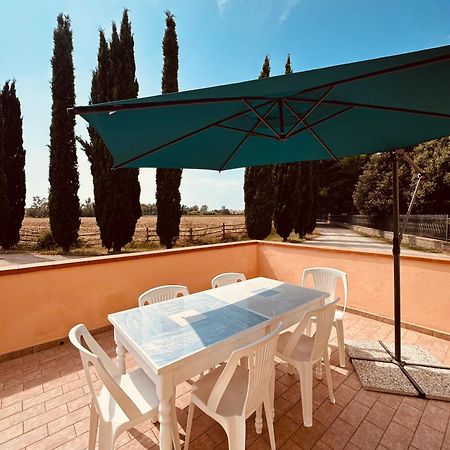 Agriturismo Santa Maria フォッローニカ エクステリア 写真